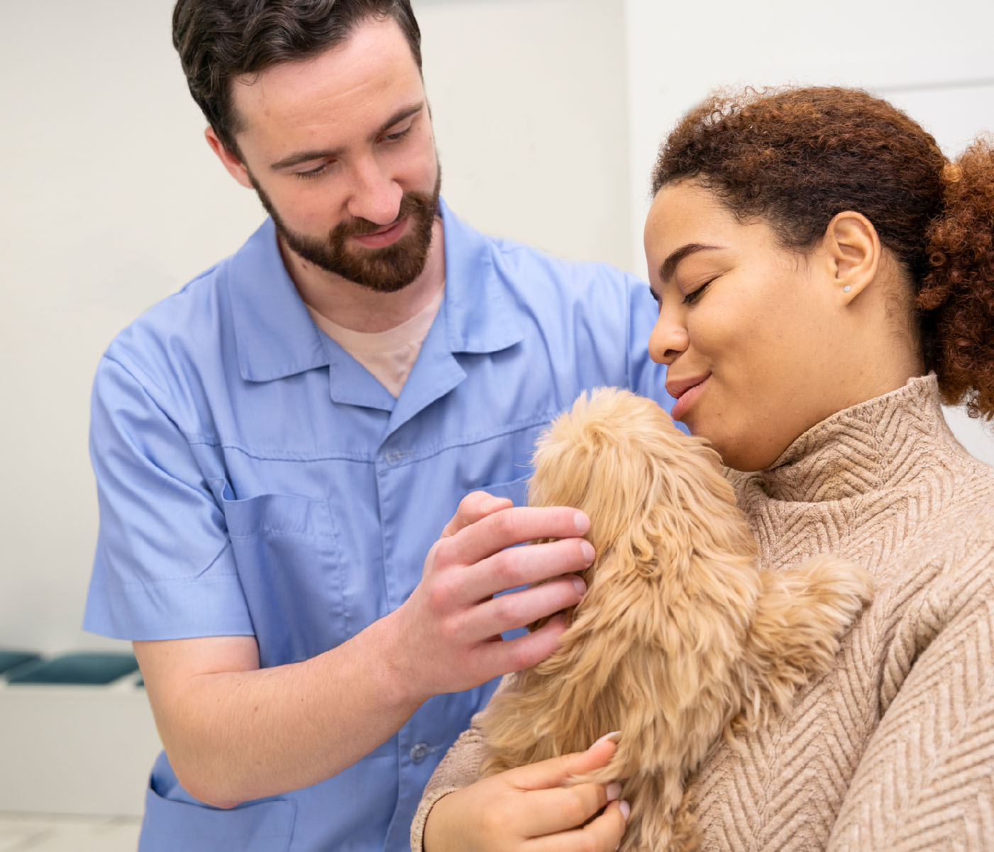 From Hospital to Home: The Rise of At-Home Veterinary Care Services ...